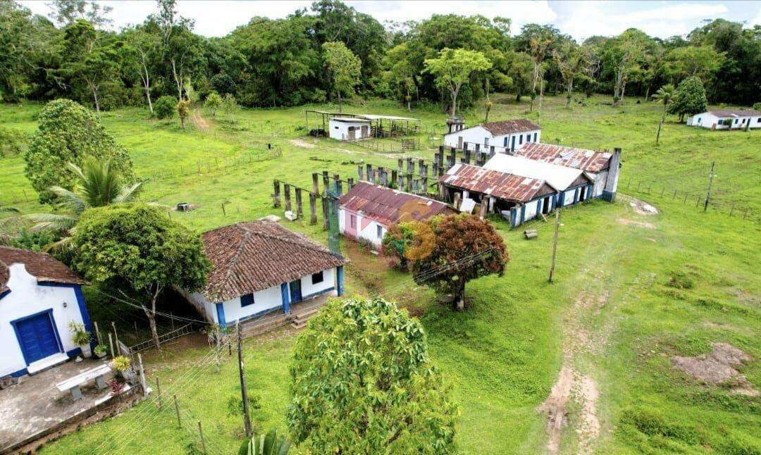 Fazenda, 800 hectares - Foto 13