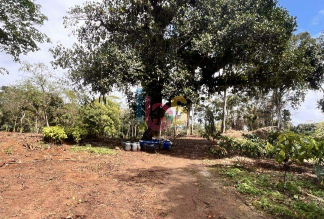 Fazenda, 800 hectares - Foto 7