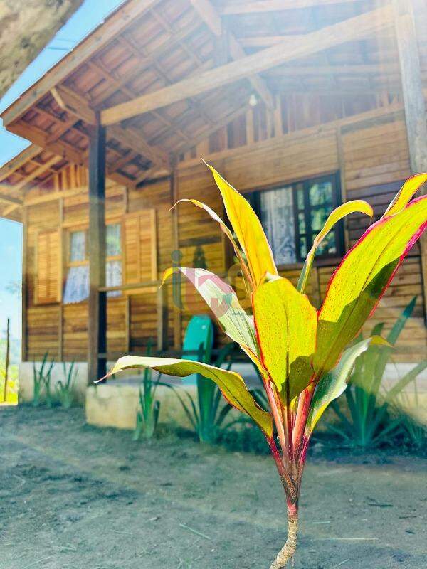 Casa, 3 quartos, 300 m² - Foto 3