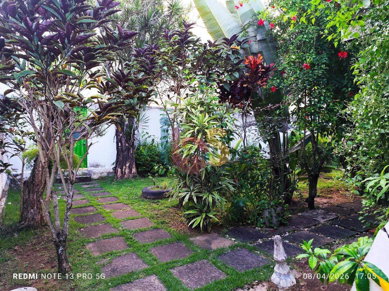 Casa, 4 quartos, 320 m² - Foto 6
