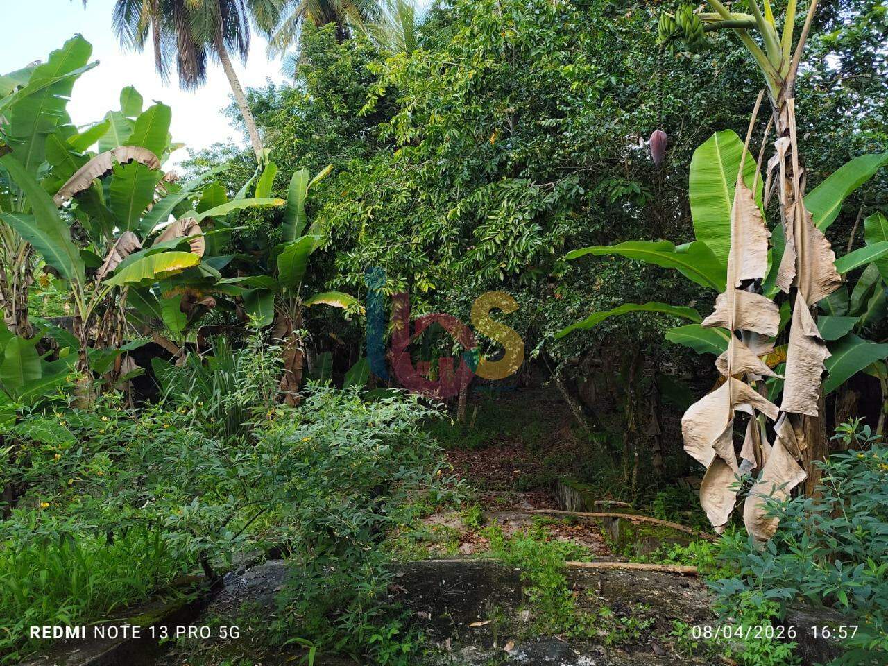 Casa, 4 quartos, 320 m² - Foto 20