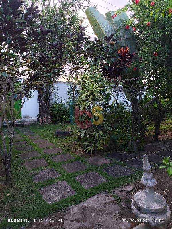 Casa, 4 quartos, 320 m² - Foto 5