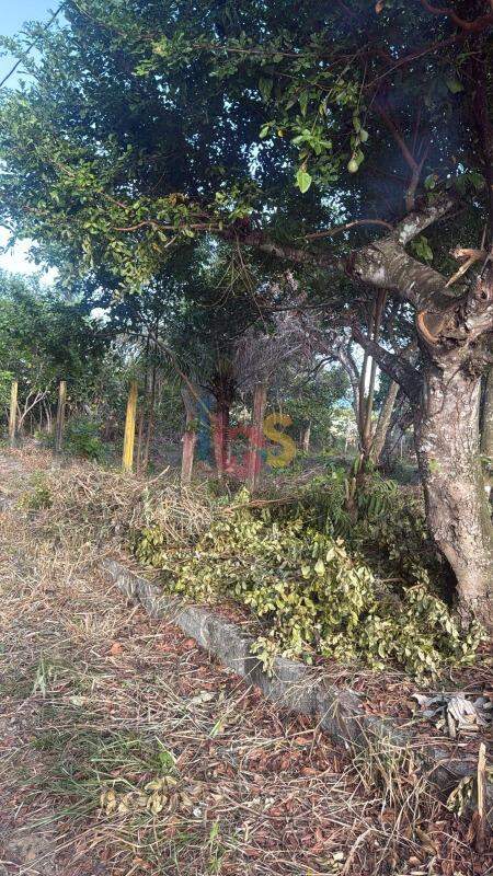 Terreno, 600 m² - Foto 11