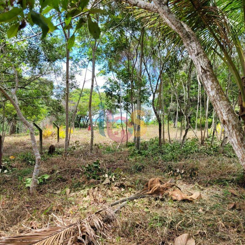 Terreno, 600 m² - Foto 10