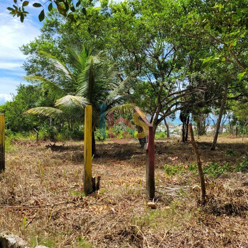 Terreno, 600 m² - Foto 9