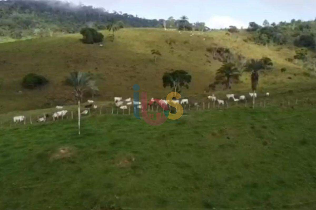 Sítio, 200 hectares - Foto 9