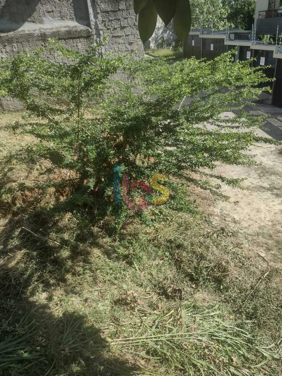 Terreno, 212 m² - Foto 11
