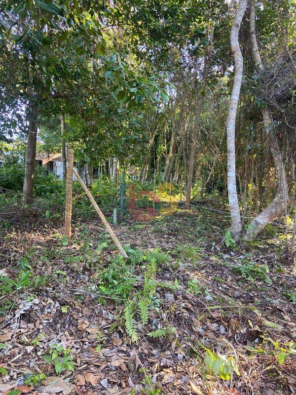 Terreno, 1000 m² - Foto 2