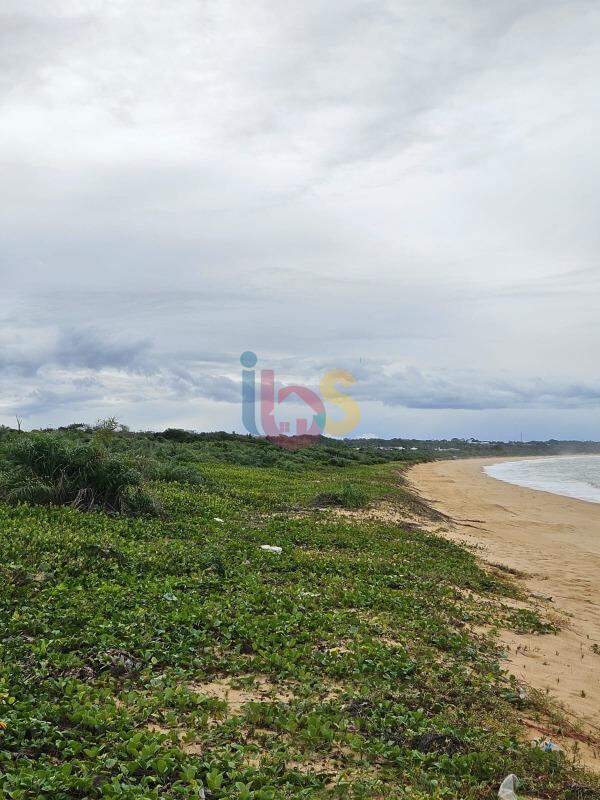 Terreno, 2 hectares - Foto 4