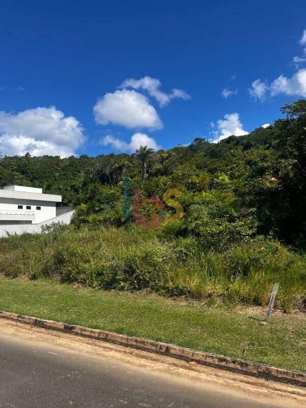 Terreno, 509 m² - Foto 6