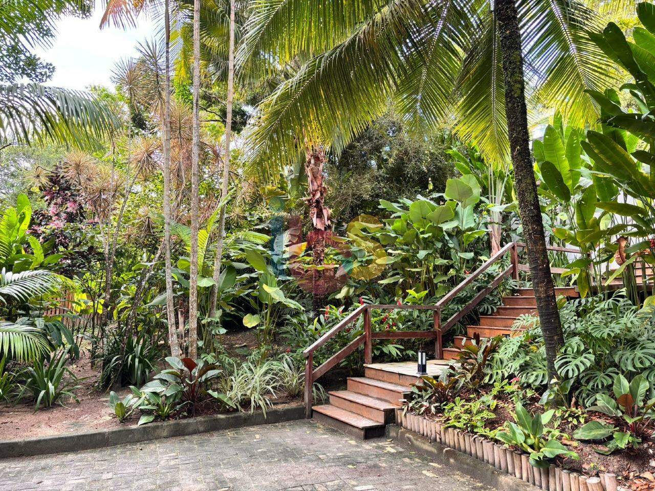 Casa, 5 quartos, 500 m² - Foto 3
