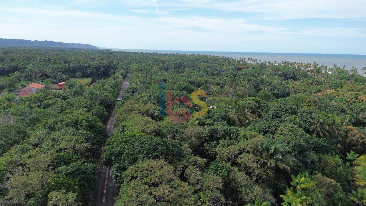Terreno, 4000 m² - Foto 4