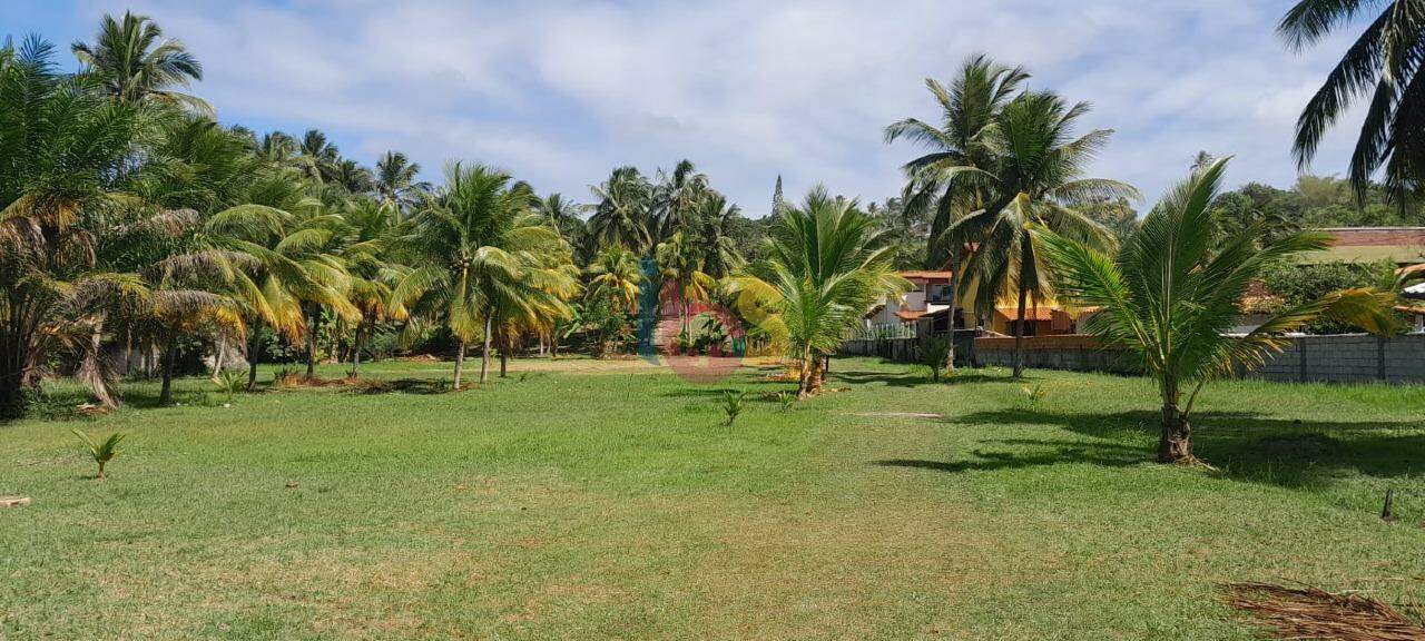 Terreno, 10000 m² - Foto 3