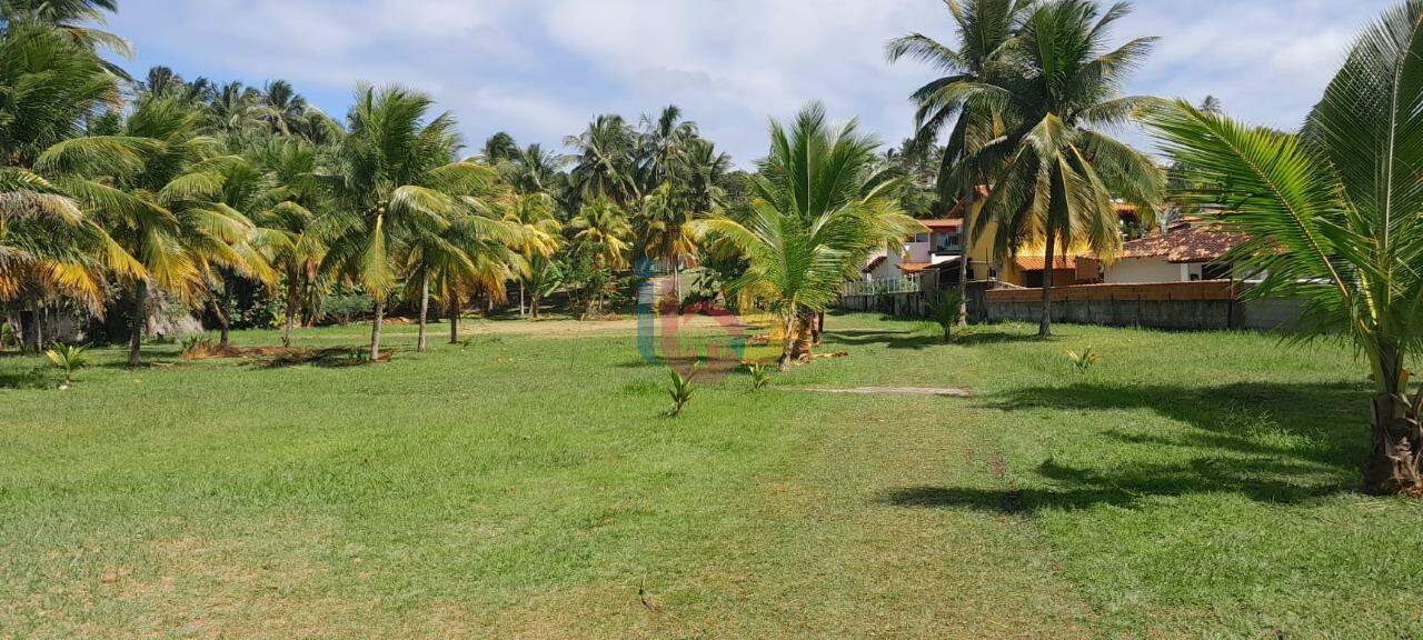 Terreno, 10000 m² - Foto 2