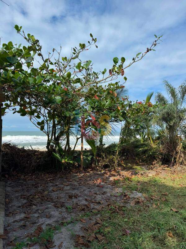 Terreno, 360 m² - Foto 2