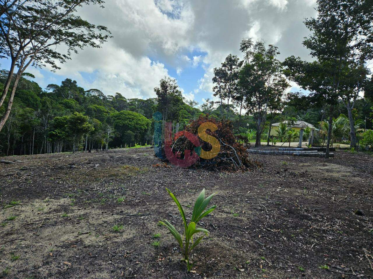 Terreno, 5000 m² - Foto 6