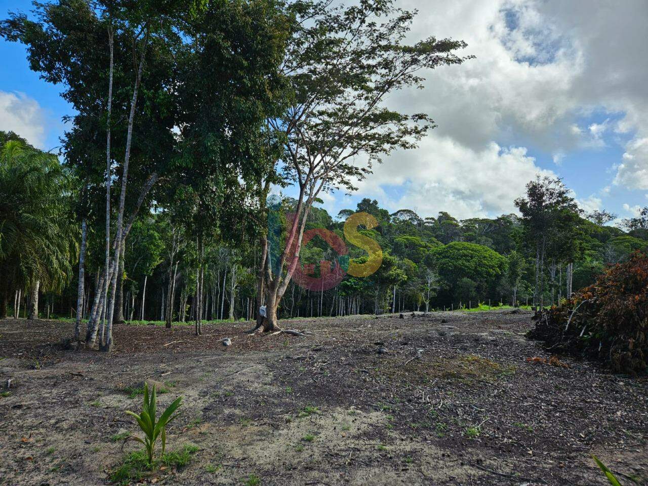 Terreno, 5000 m² - Foto 5