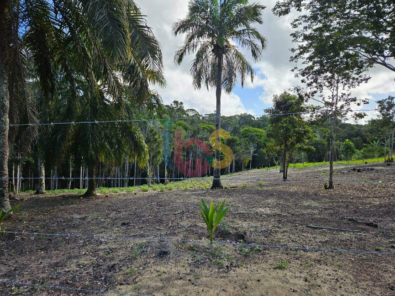 Terreno, 5000 m² - Foto 3