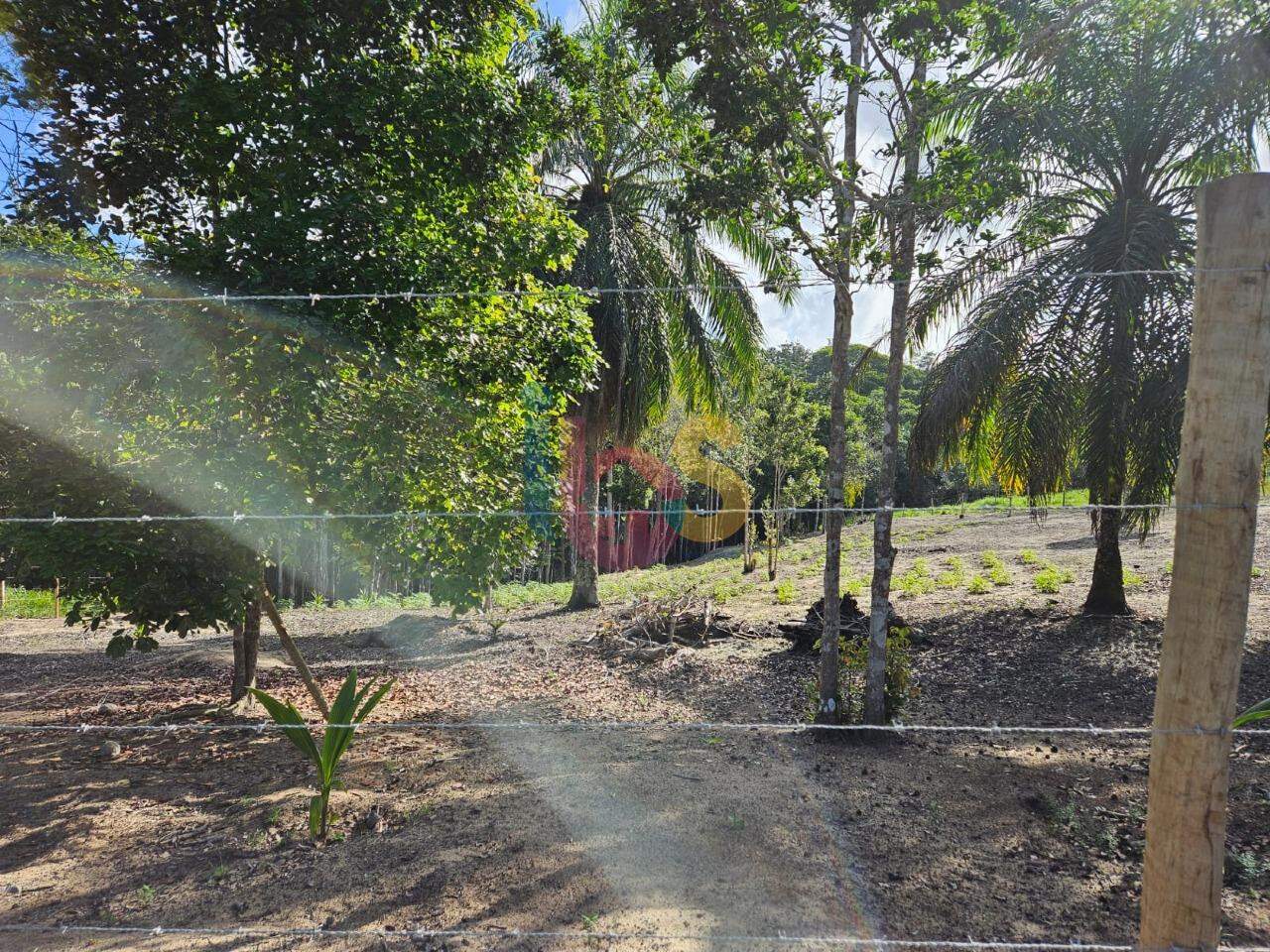Terreno, 5000 m² - Foto 2