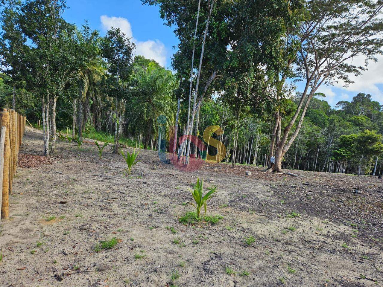 Terreno, 5000 m² - Foto 1
