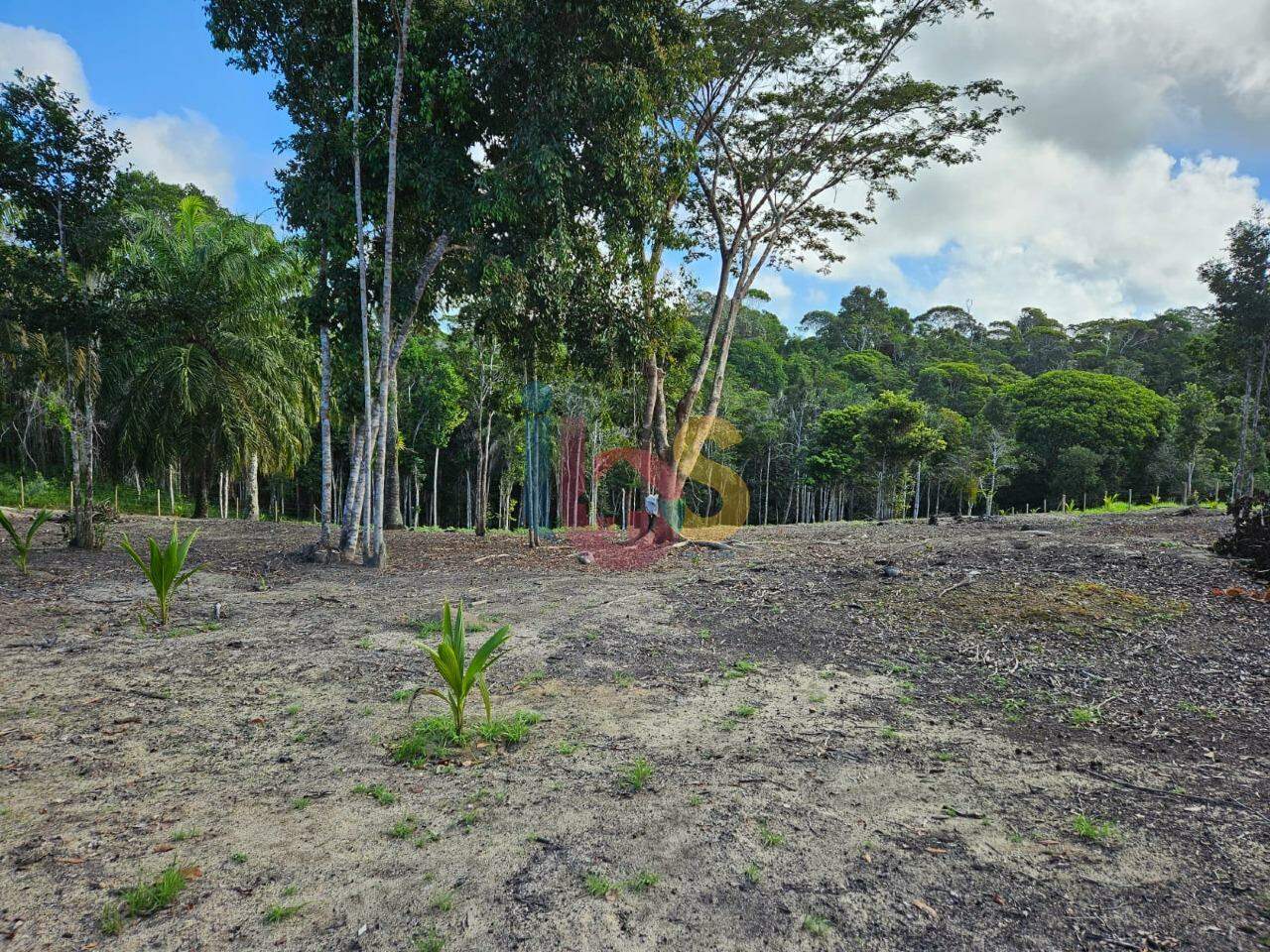 Terreno, 5000 m² - Foto 4