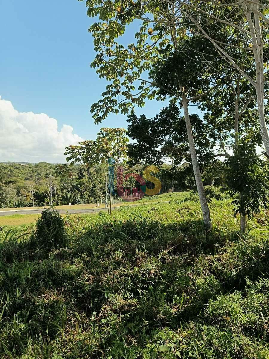 Terreno, 450 m² - Foto 2