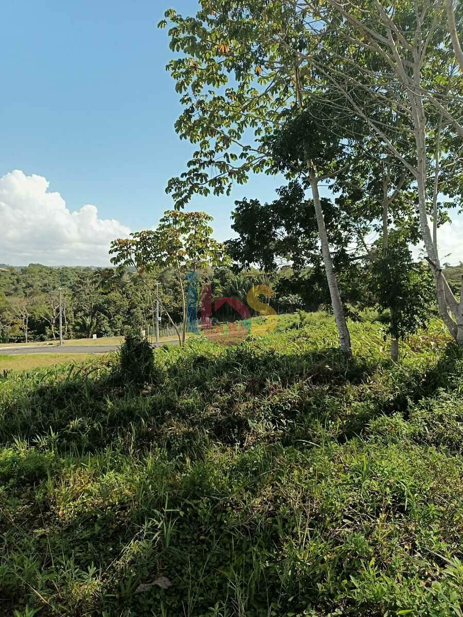 Terreno, 450 m² - Foto 7