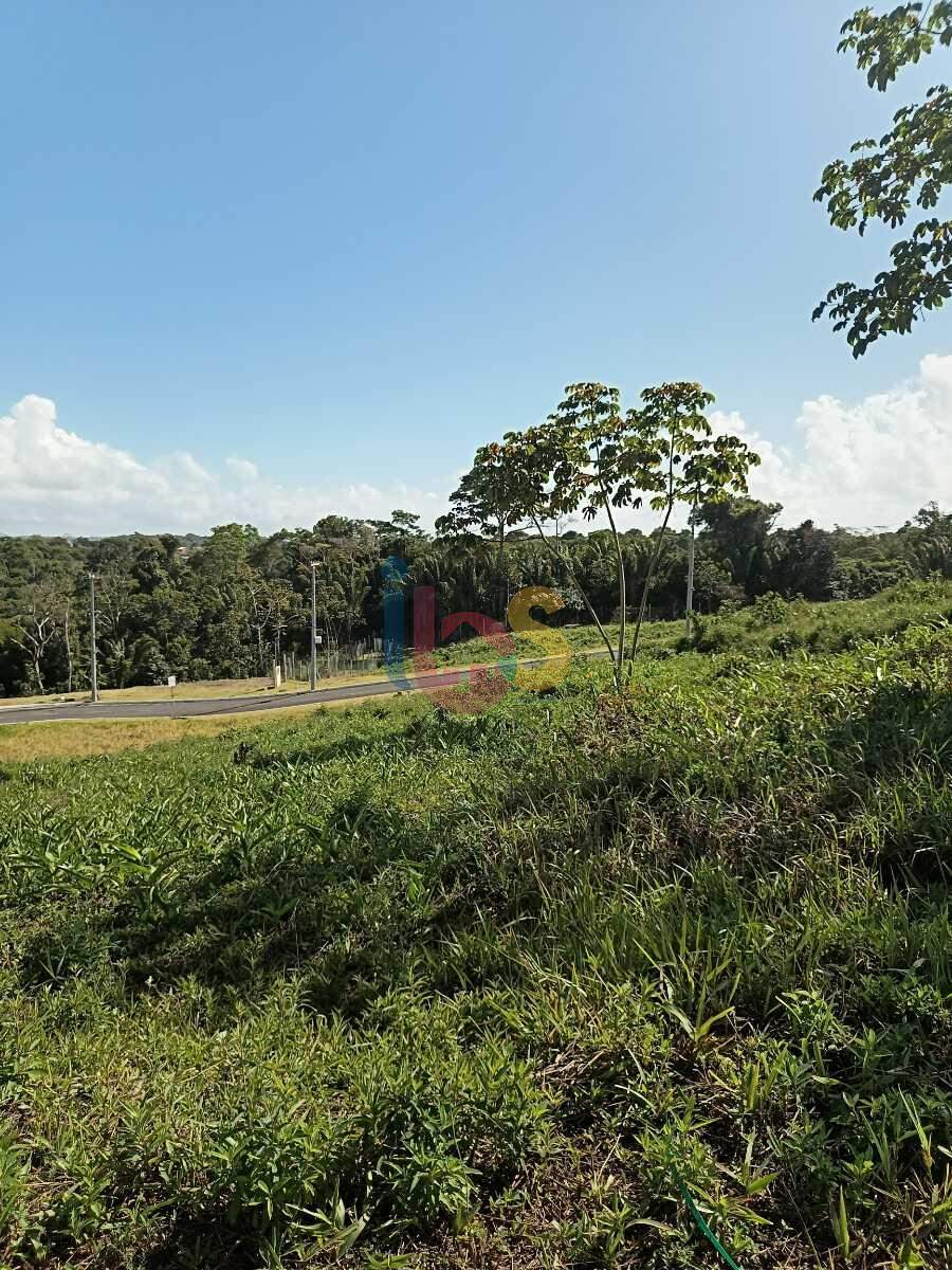 Terreno, 450 m² - Foto 8