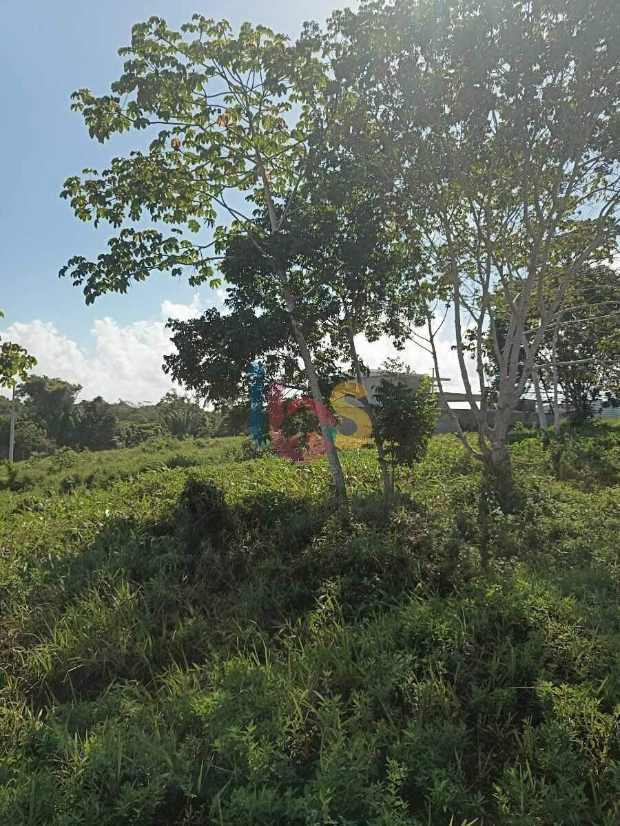 Terreno, 450 m² - Foto 6