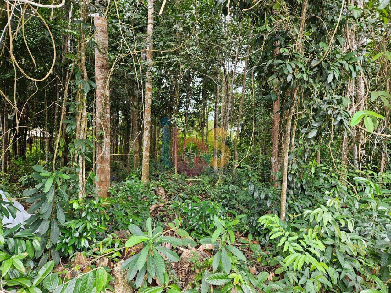 Terreno, 880 m² - Foto 10