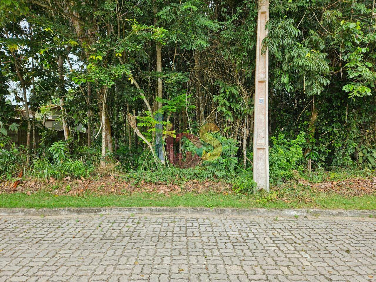 Terreno, 880 m² - Foto 3