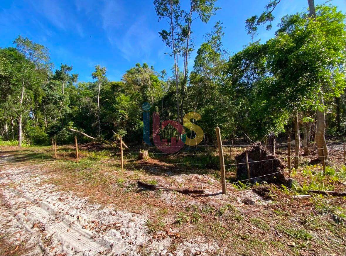 Terreno, 250 m² - Foto 3