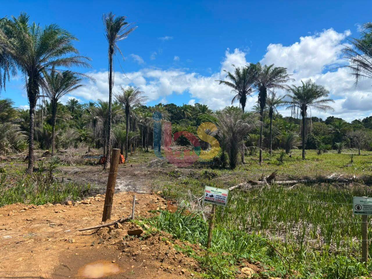 Terreno, 250 m² - Foto 4