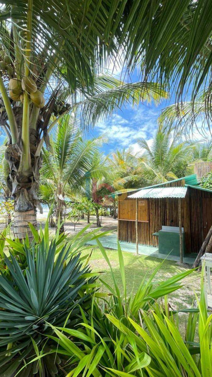 Casa, 2 quartos, 85 m² - Foto 1