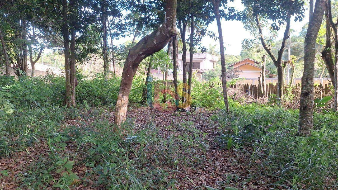 Terreno, 3300 m² - Foto 6