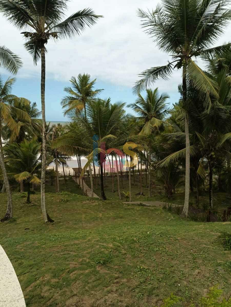 Casa, 3 quartos, 900 m² - Foto 1