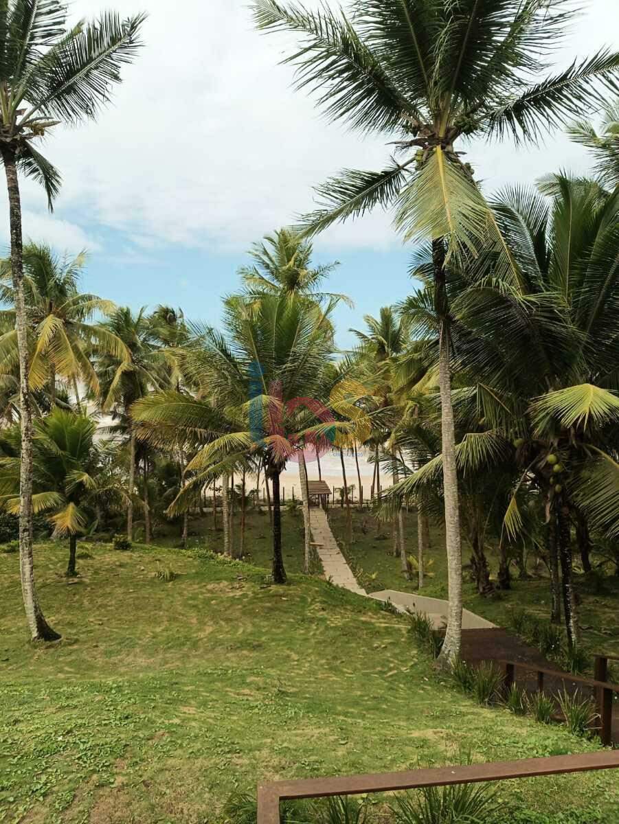 Casa, 3 quartos, 900 m² - Foto 23