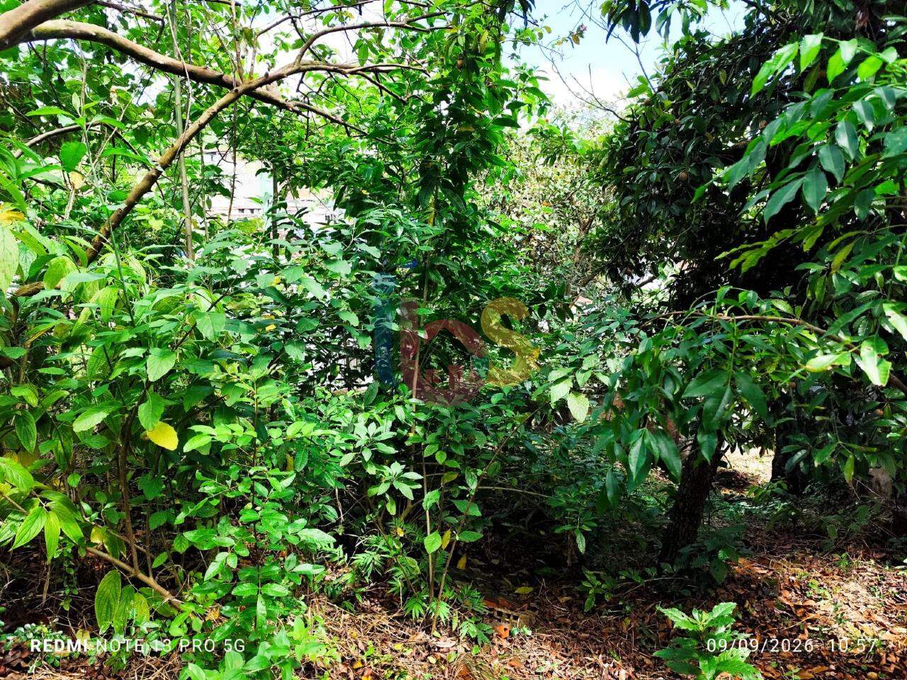 Casa, 2 quartos, 180 m² - Foto 14