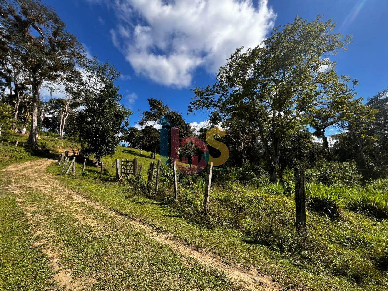 Fazenda - Foto 3