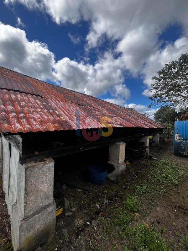 Fazenda - Foto 27