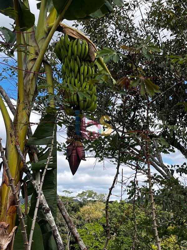 Fazenda - Foto 21