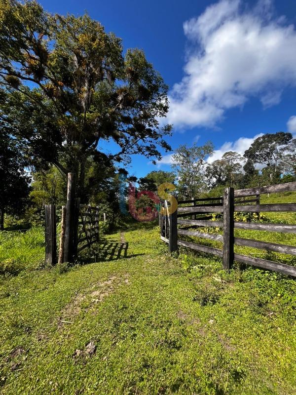 Fazenda - Foto 5