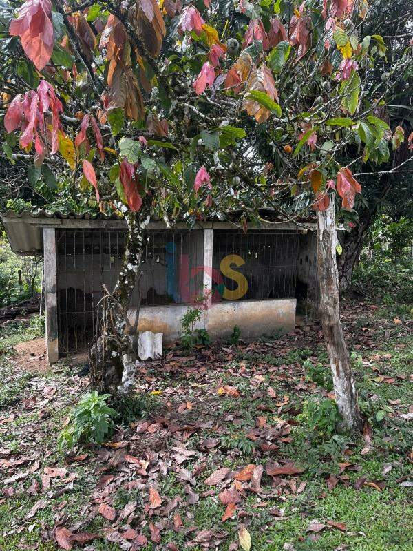 Fazenda - Foto 30