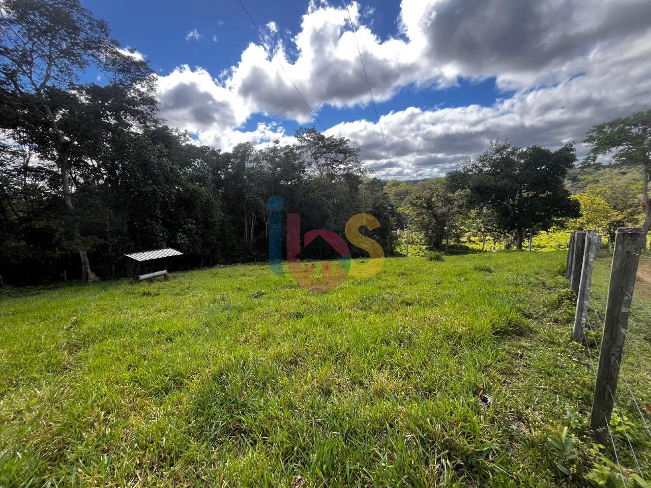 Fazenda - Foto 9