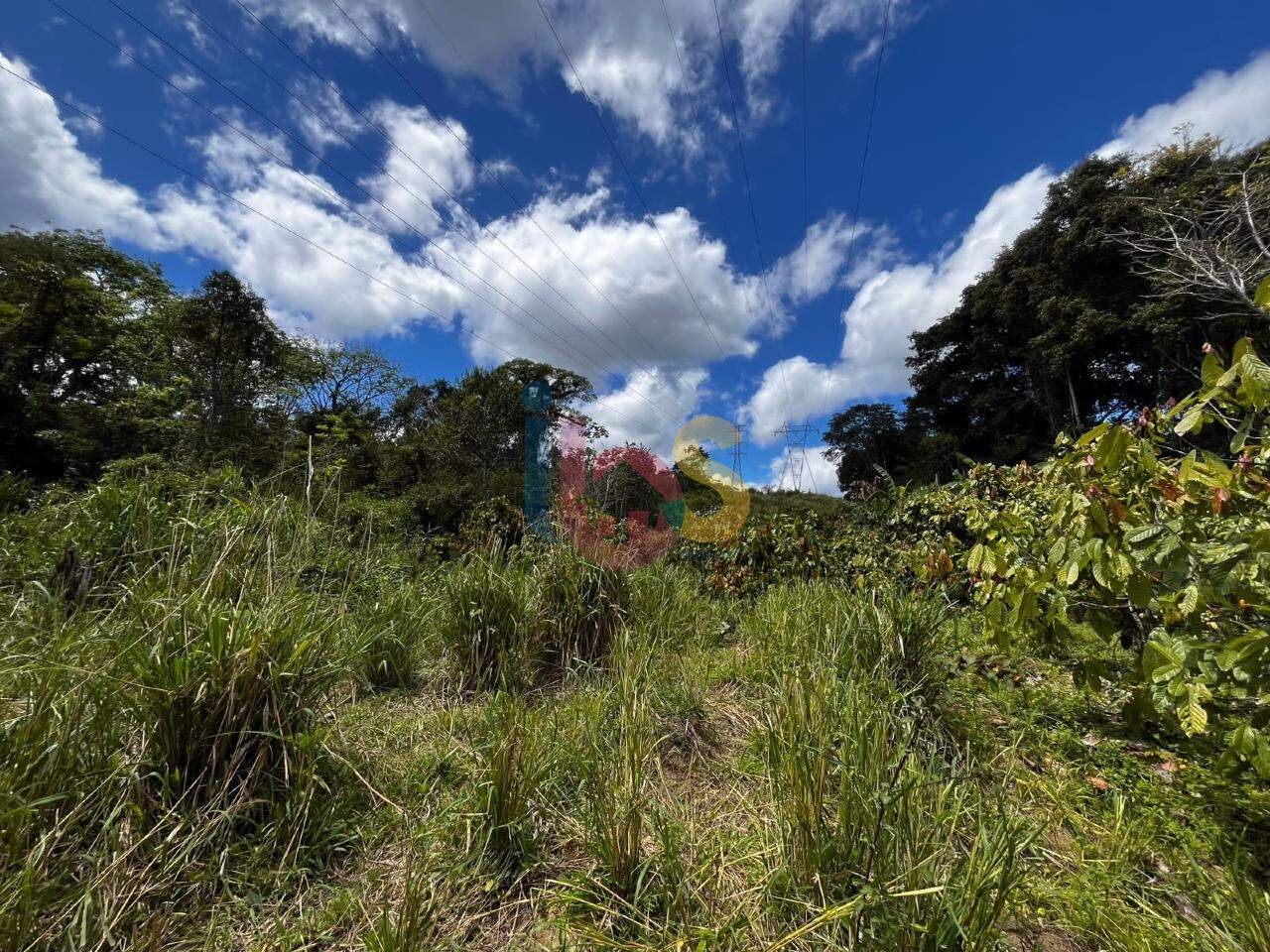 Fazenda - Foto 38