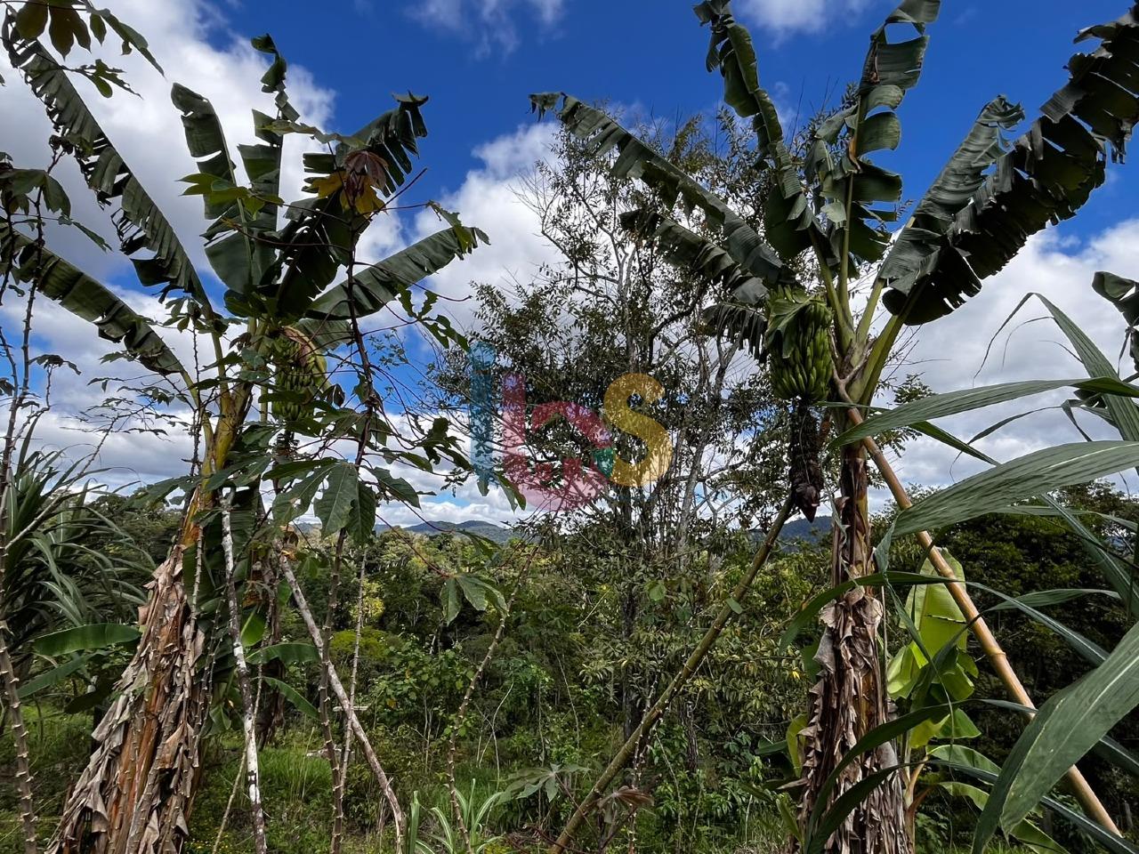 Fazenda - Foto 22