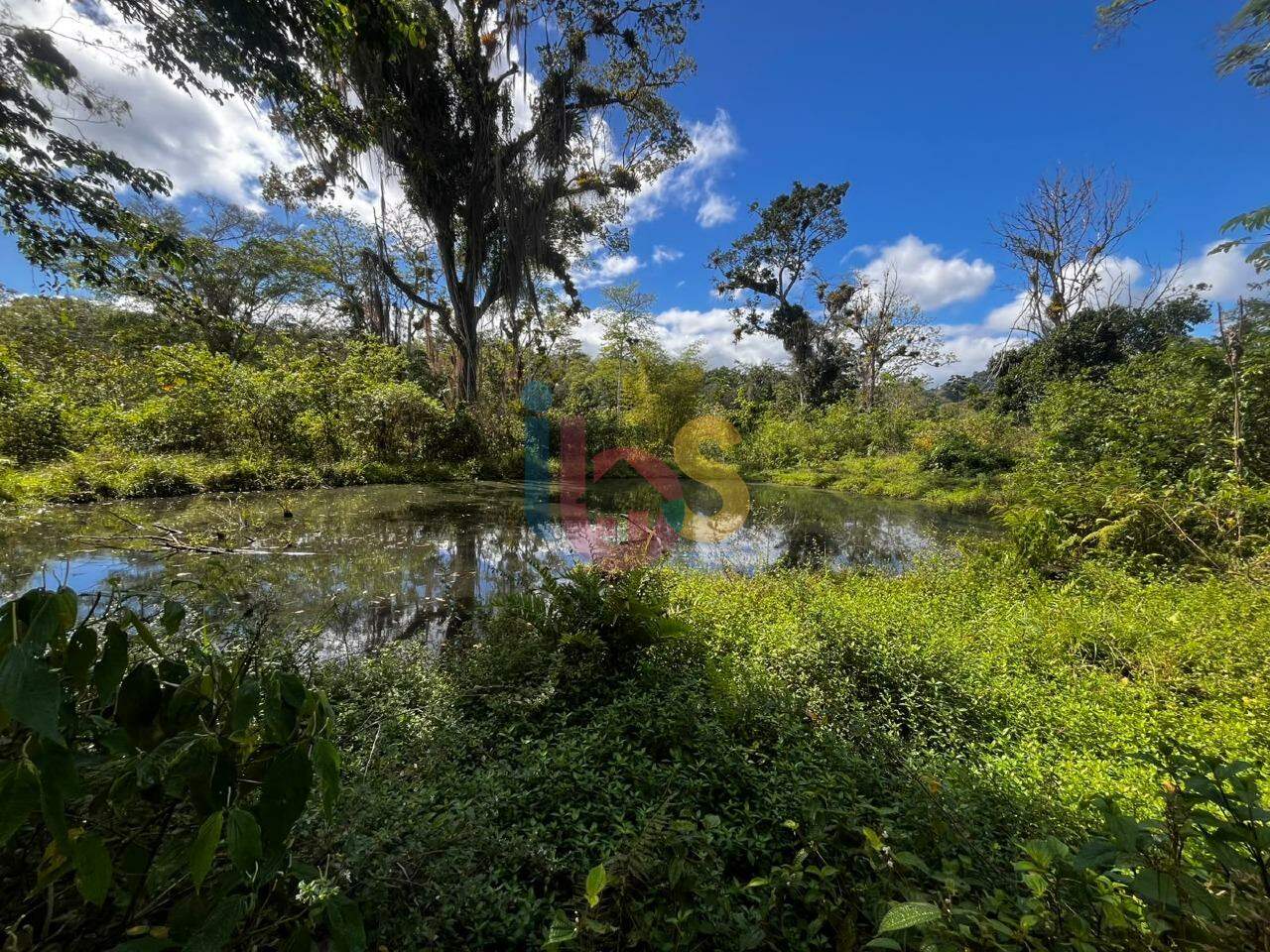 Fazenda - Foto 7