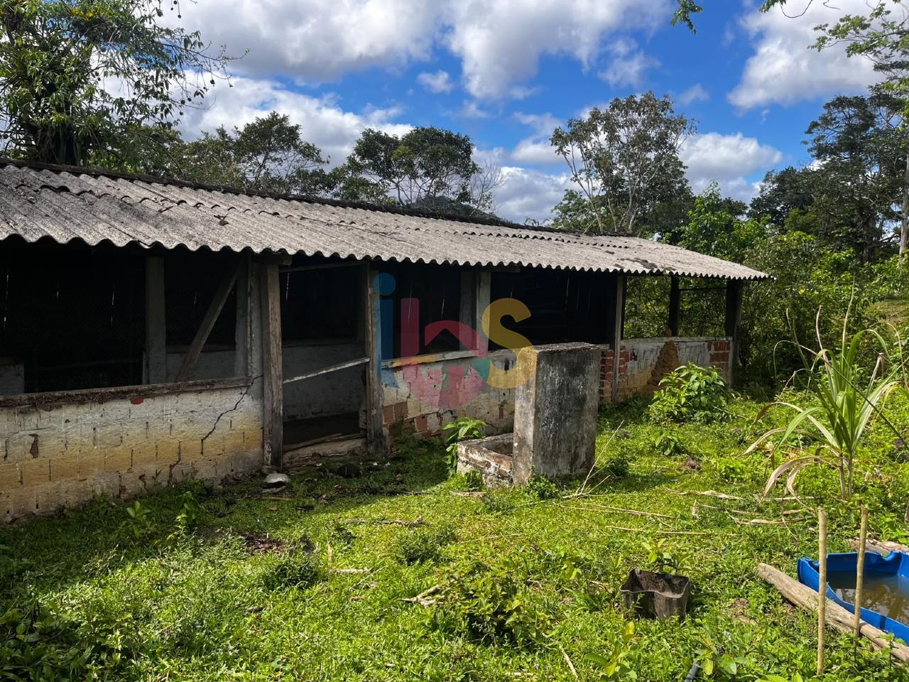 Fazenda - Foto 31