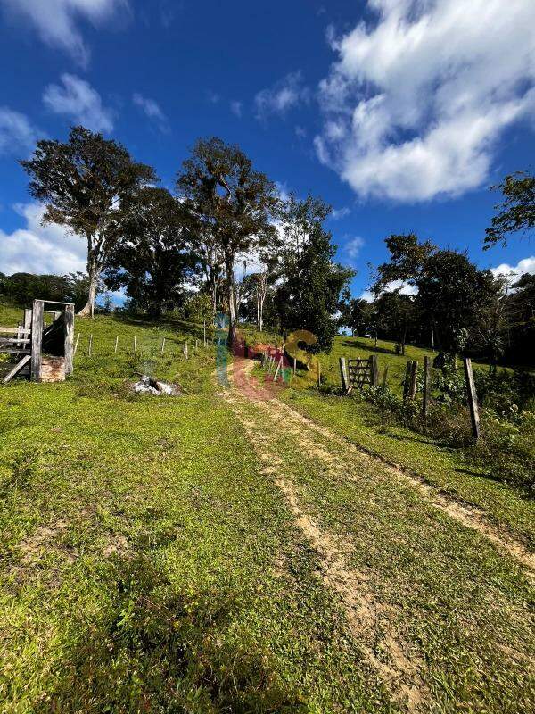 Fazenda - Foto 6