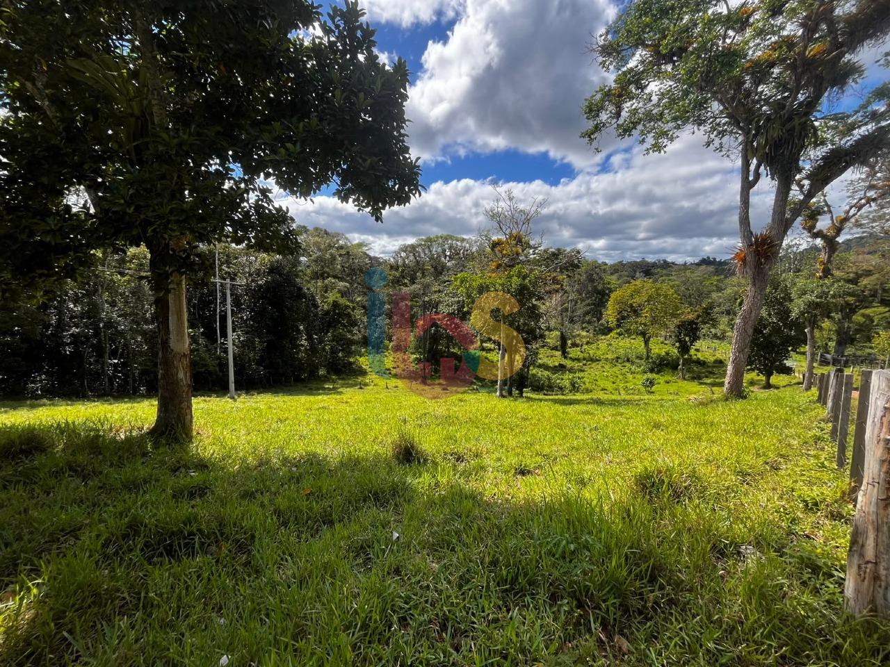 Fazenda - Foto 10